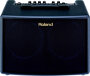 Roland AC-60 Acoustic Chorus Acoustic Guitar Amplifier (2x30 Watts, 2x6.5")