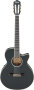 Ibanez AEG10NE Classical Cutaway Acoustic-Electric Guitar