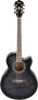 Ibanez AEL20E AEL Cutaway Acoustic-Electric Guitar
