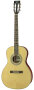 Aria APSTDII Parlour Acoustic Guitar