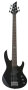 ESP LTD B55 5-String Electric Bass