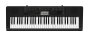 Casio CTK-3200 Portable Electronic Keyboard, 61-Key