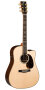 Martin DCPA1 Dreadnought Acoustic-Electric Guitar (with Case)