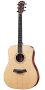 Taylor DN3 Acoustic Guitar