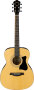 Ibanez IJVC100S Acoustic Jam Pack