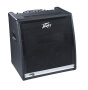 Peavey KB5 Keyboard Amplifier (150 Watts, 2x10")