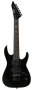 Main