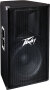 Peavey PV115 2-Way PA Enclosure (1x15")