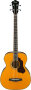 Ibanez SGBE110 Sage Acoustic-Electric Bass