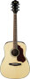 Ibanez SGT120 Sage Series Acoustic Guitar