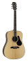 Alvarez AD70 Dreadnought Acoustic Guitar