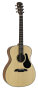Alvarez AF30 Folk Acoustic Guitar