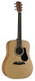 Alvarez RD12 Regent Dreadnought Acoustic Guitar with Case