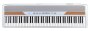 Korg SP250 88-Key Stage Piano