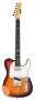 ESP LTD TE202 Electric Guitar, Rosewood Neck