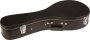Ibanez A-Style Mandolin Hardshell Case