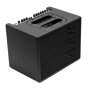AER 60-3 Acoustic Guitar Combo Amplifier (60 Watts, 1x8")