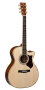 Martin GPCPA1 Madagascar Rosewood Acoustic Guitar