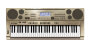 Casio AT-3 Oriental Electronic Keyboard (61-Key)