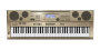 Casio AT-5 Oriental Electronic Keyboard (76-Key)