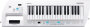 Roland AX-09 Lucina 37-Key Synthesizer