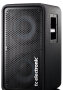 TC Electronic RS210 Bass Cabinet, 400 Watts, 2x10"