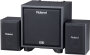 Roland CM-110 Cube Monitor Speaker System