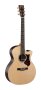 Martin GPCPA4 Rosewood Performing Artist Acoustic-Electric Guitar, with Case