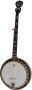Deering Eagle II Banjo with Case