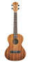 aNueNue Papa III Tenor Ukulele (with Gig Bag)