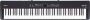 Roland FP-4F Digital Piano