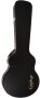 Epiphone Jack Casady Bass Case