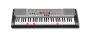 Casio LK230 61-Key Lighted Keyboard