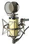 Avantone BV-1 Large Diaphragm Multi-Pattern Tube Microphone