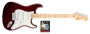 Fender Standard Stratocaster Maple Electric Guitar and Texas Special Pickup Set