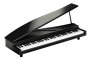 Korg microPiano Mini Digital Piano, 61-Key