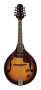 Brown Sunburst