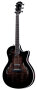 Taylor T5 Thinline Fiveway Standard Maple Cutaway Acoustic-Electric Guitar (with Case)