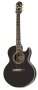 Epiphone PR5-E Compact Jumbo Cutaway Acoustic-Electric Guitar