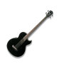 Washburn AB10 Acoustic-Electric Bass (With Gig Bag)