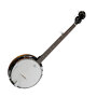 Fender FB300 Banjo Package