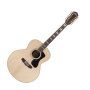 Guild F-1512 Jumbo Acoustic Guitar, 12-String with Case