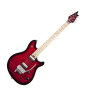 EVH Eddie Van Halen Wolfgang Special Electric Guitar, with Case