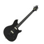 EVH Eddie Van Halen Wolfgang Special HT Electric Guitar, with Case