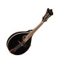 Washburn M1SDL A-Style Mandolin