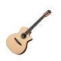 Taylor 814ce-N Grand Auditorium Classical Nylon Acoustic-Electric Guitar (with Case)