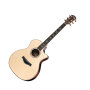 Taylor 814ce Acoustic-Electric Guitar with Case