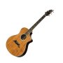 Breedlove Performance Series Focus Special Edition Acoustic Guitar (with Case)