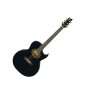 Ibanez EP5 Steve Vai Signature Acoustic-Electric Guitar