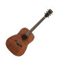 Ibanez AW250 Artwood Acoustic Guitar